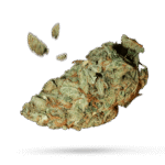 Cherry Puff - Cannabissorte