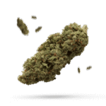 Cherry Star - Cannabissorte