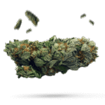 China Yunnan - Cannabissorte