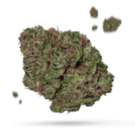 Chocolate Chem - Cannabissorte