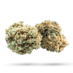 Chocolate Mint OG - Cannabissorte