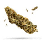 Chunkadelic - Cannabissorte