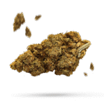 Cinex - Cannabissorte