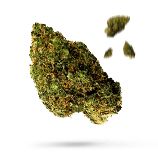 Citrus Anytime - Cannabissorte