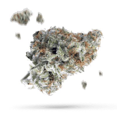 Cookies and Cream - Cannabissorte