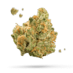 Dosi White - Cannabissorte