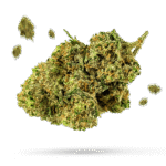 El Jefe - Cannabissorte