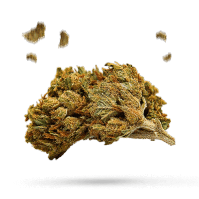 Fruit Spirit - Cannabissorte