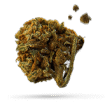 Gorilla Kush - Cannabissorte