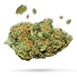 Purple Berry - Cannabissorte