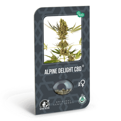 Alpine Delight CBD Samen - Autoflower - Sensi Seeds
