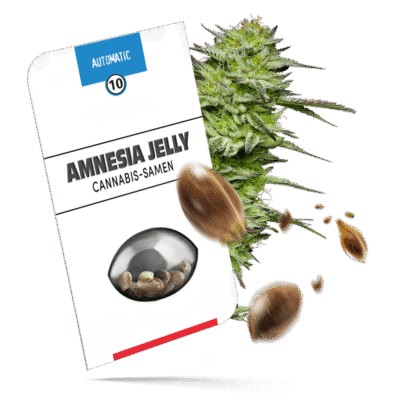 Amnesia Jelly Samen - Autoflower - Sensi Seeds