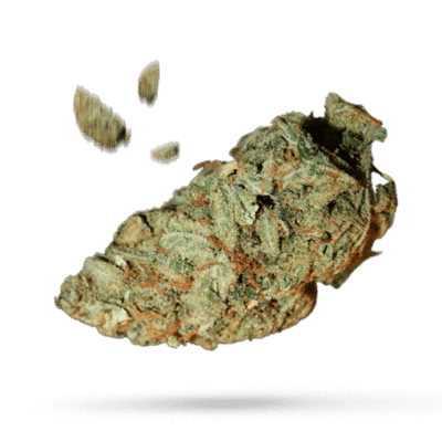 Blueberry Bubblegum Samen - Autoflower - Sensi Seeds