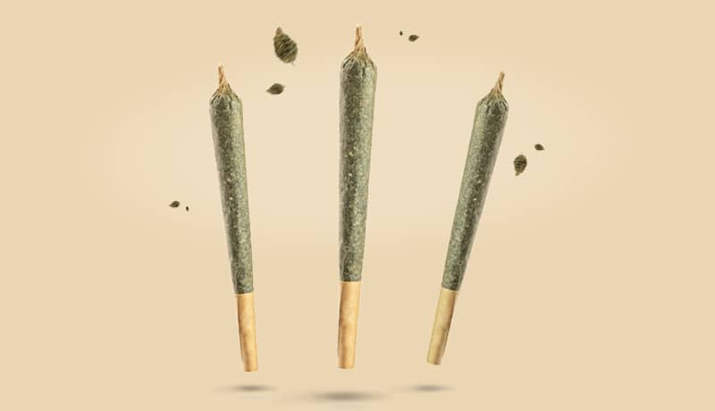 Cannabis Joints - Produktkategorie