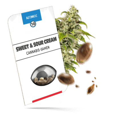 Sweet & Sour Cream Samen - Autoflower - Sensi Seeds