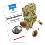 Sweet Tangerine Tango Samen - Autoflower