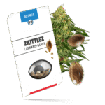 Zkittlez Samen - Autoflower