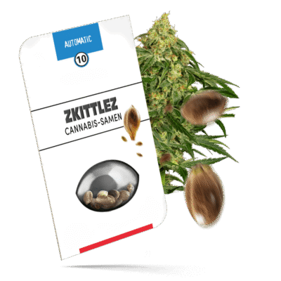 Zkittlez Samen - Autoflower - Sensi Seeds