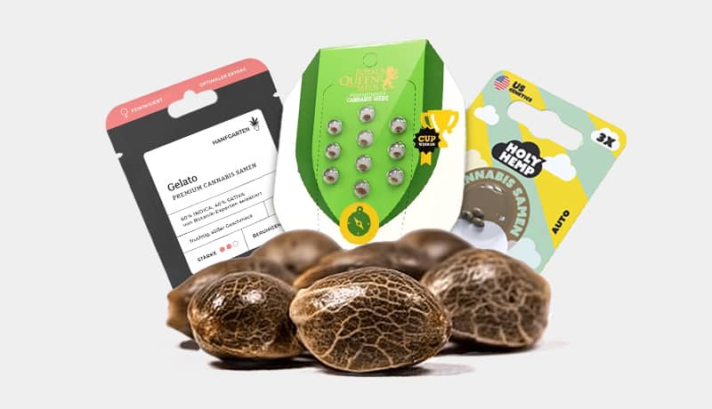 Cannabis Samen kaufen