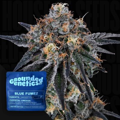 Blue Fumez - House of Seeds