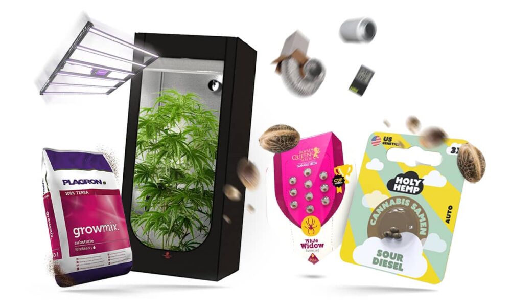 Cannabisprodukte kaufen