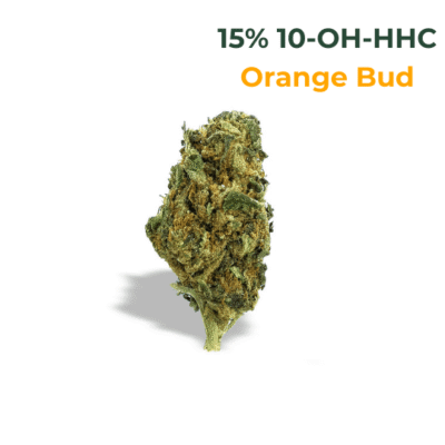 10-OH-HHC Blüte Orange Bud 15% 10-OH-HHC - CBD040