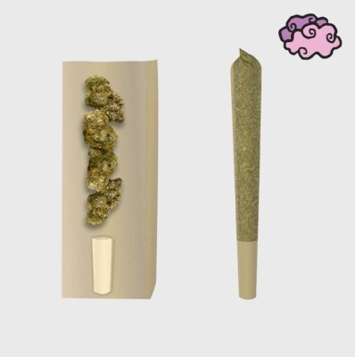 Amnesia 10HC Prerolls Power LVL 4 - Flower Power