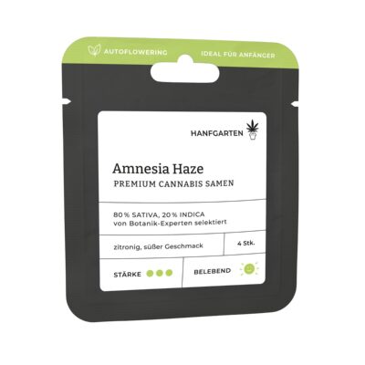 Amnesia Haze Autoflowering - Hanfgarten