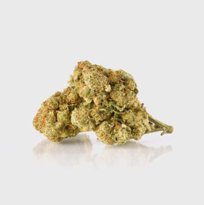 Amnesia Haze Power LVL 5 - Flower Power