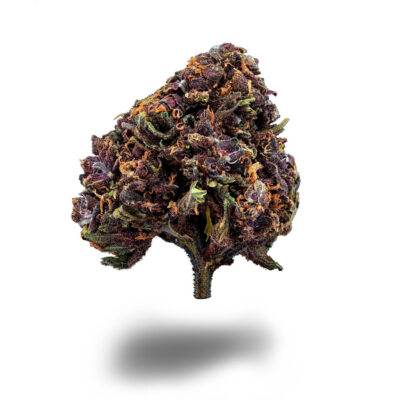 Blackberry Purple - CBDIA