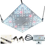 Bloomstar FLUXshield 300 by Crescience 110w