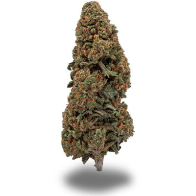 Blueberry Cookies - CBDIA