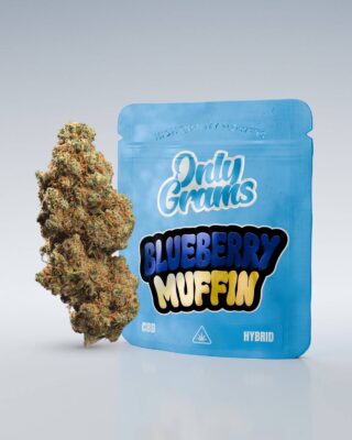 Blueberry Muffin CBD Blüte 13% - Only Grams