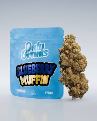 Blueberry Muffin Superior Blüte 40% - Only Grams