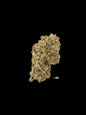 Cake and Punch – Only Grams