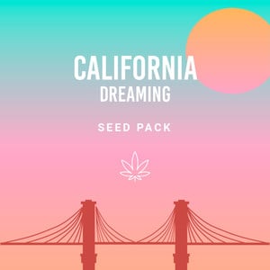 California Dreamin' Pack - Royal Queen Seeds