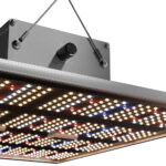 Caluma Force 240W LED 27 µmolJ