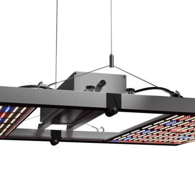 Caluma Force 480W LED faltbar 27 µmolJ – Grow Guru