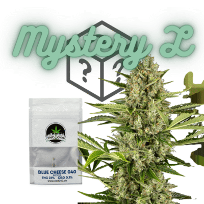 Cannabis Samen Mystery Box L Für den Cannabis Eigenanbau - CBD040