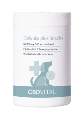 CBD Gelenke plus Snacks Hunde Gelenksschutz - CBD Vital