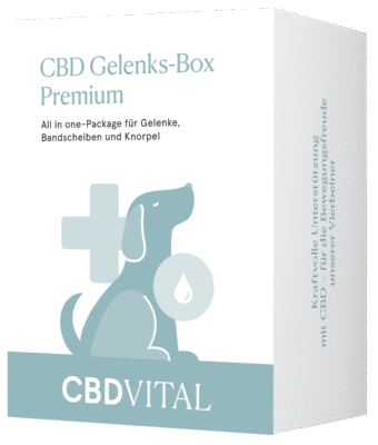 CBD Gelenks-Box Premium - CBD Vital