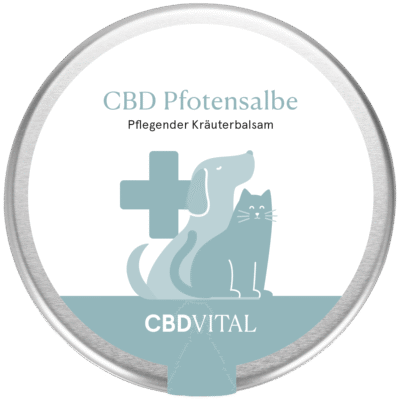 CBD Pfotensalbe - CBD Vital