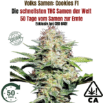 Cookies F1 Cali Weed THC Samen