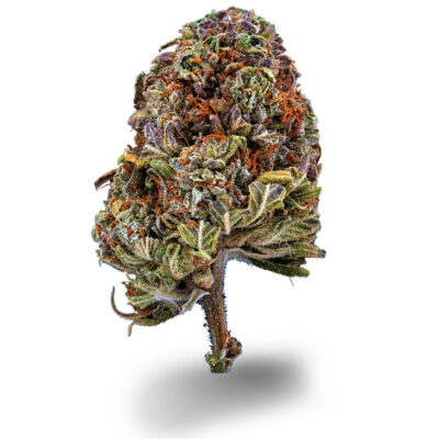 Cream Mandarin - CBDIA