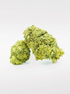 Frosted Cookies Superior Blüte 55% - Only Grams