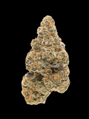 Girl Scout Cookies – Only Grams