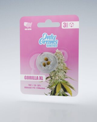 Gorilla XL THC-Seeds - Only Grams