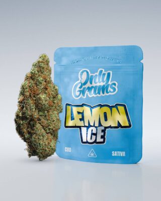 Lemon Ice CBD Blüte 18% - Only Grams