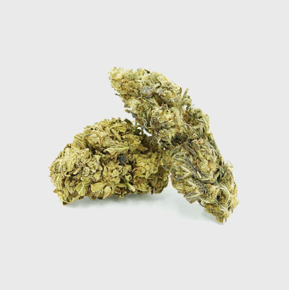 Lemon King Power LVL 5 - Flower Power