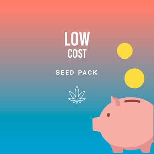 Low Cost Pack - Royal Queen Seeds